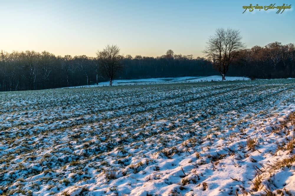 Persistance neigeuse