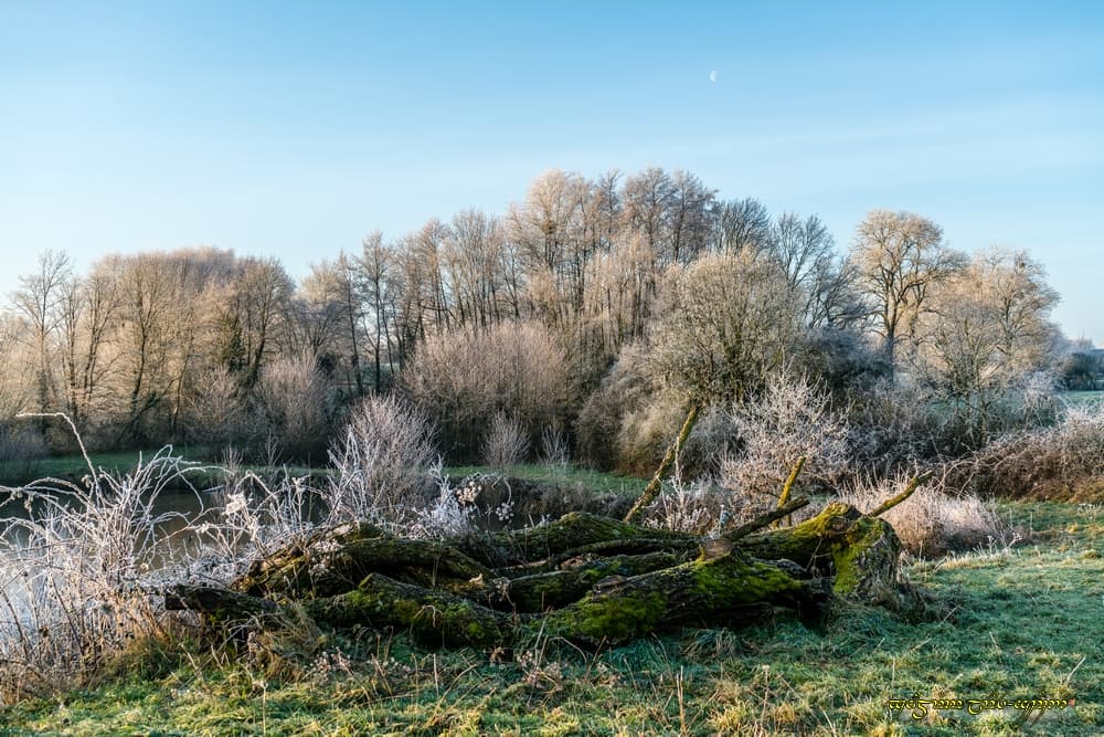 Pas loin de l'étang