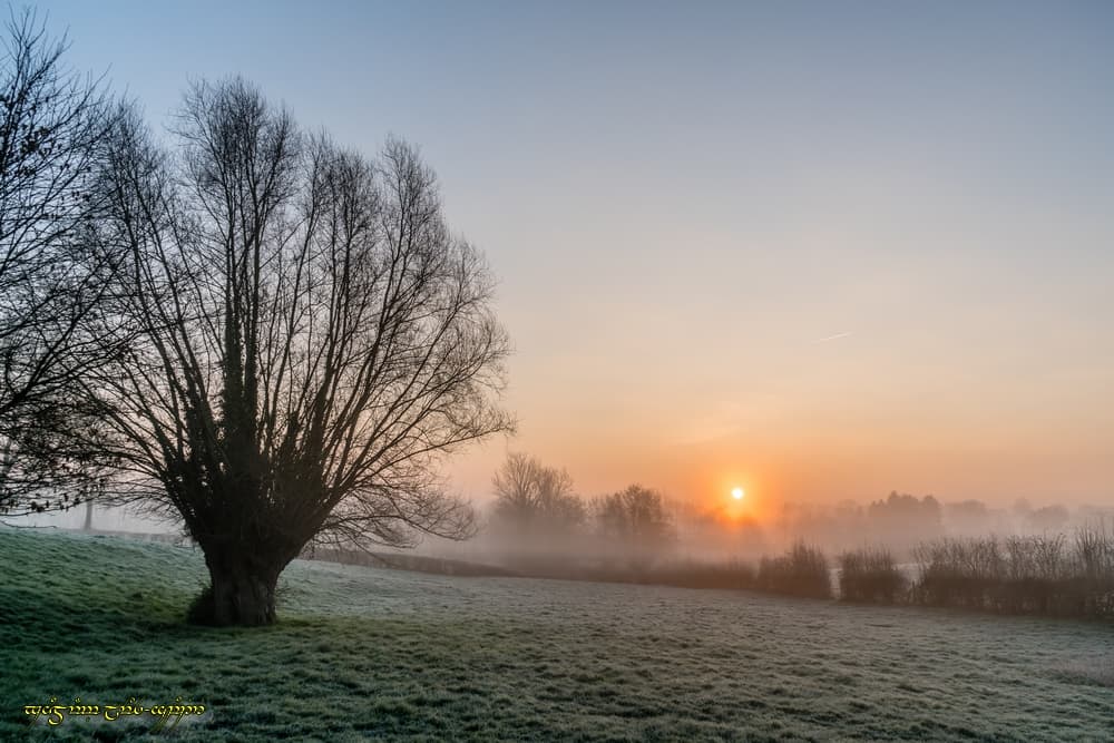 Fraîcheur du petit jour