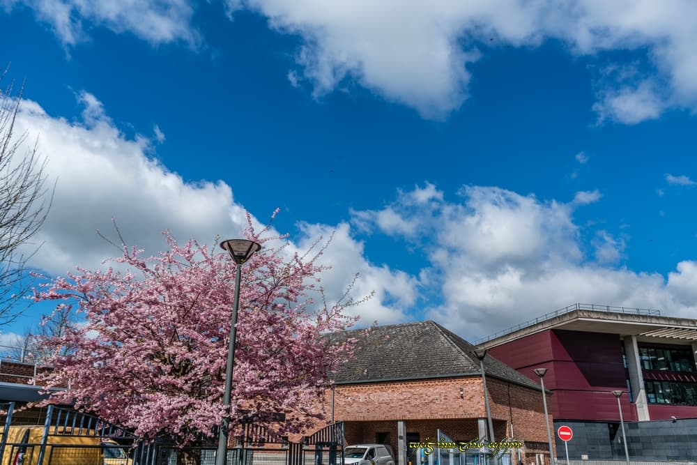 Le beau printemps