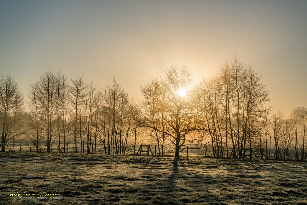 Brume givrante