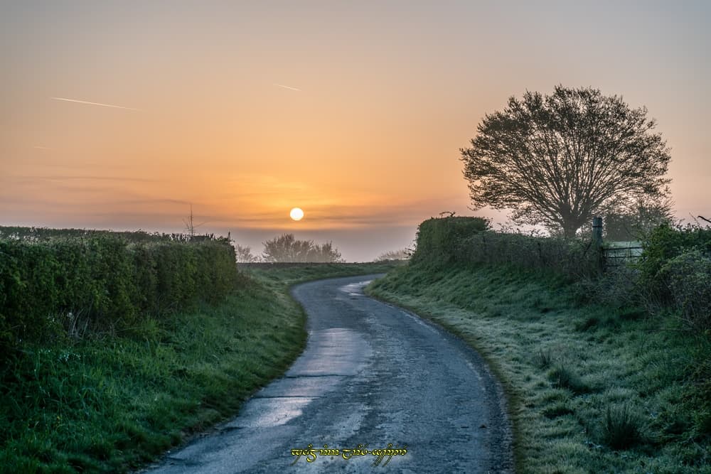 Le sentier lumineux