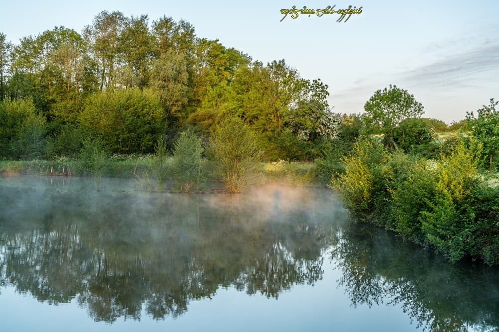 Un rien de brume sur l'étang