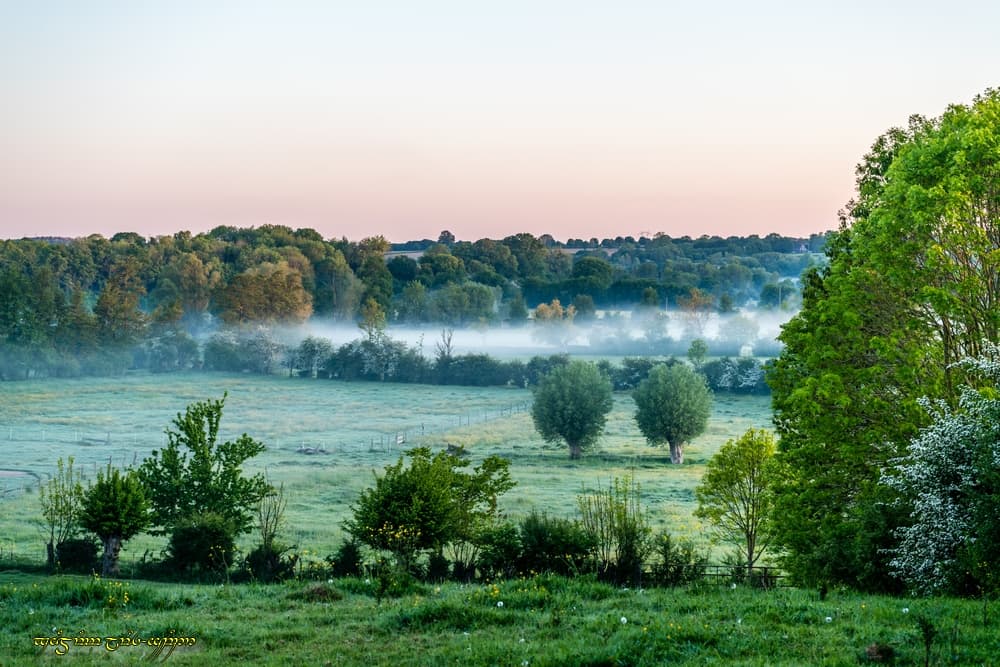 Brume et blanchiment