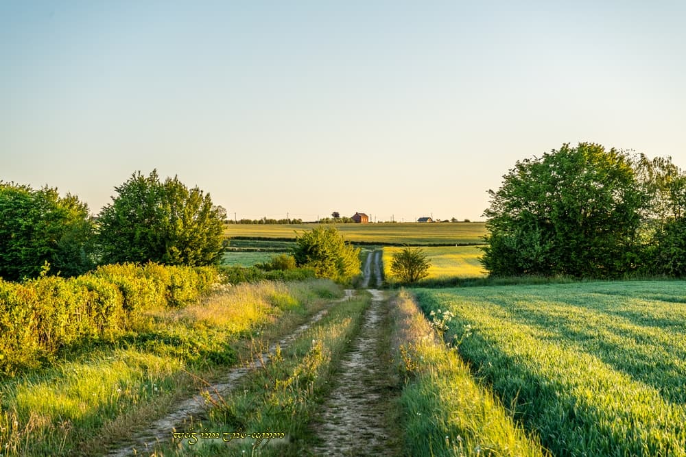 Le sentier sec...