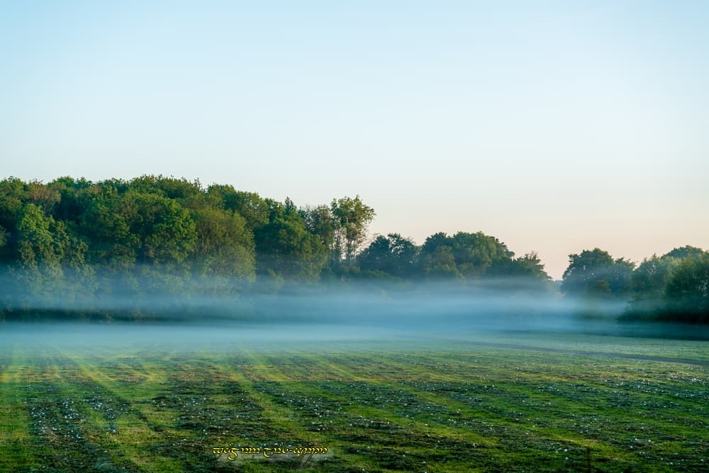 Les strates dans la vallée