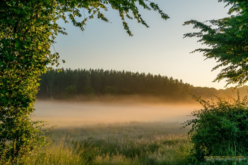 Fenêtre sur brume