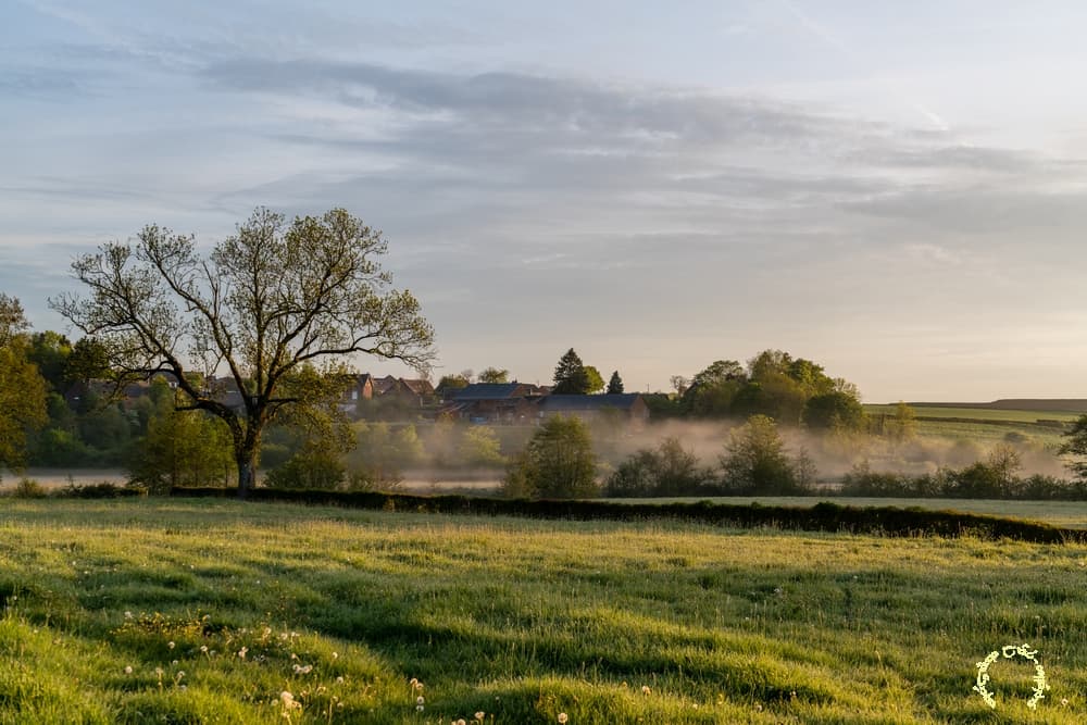Résidus brumeux