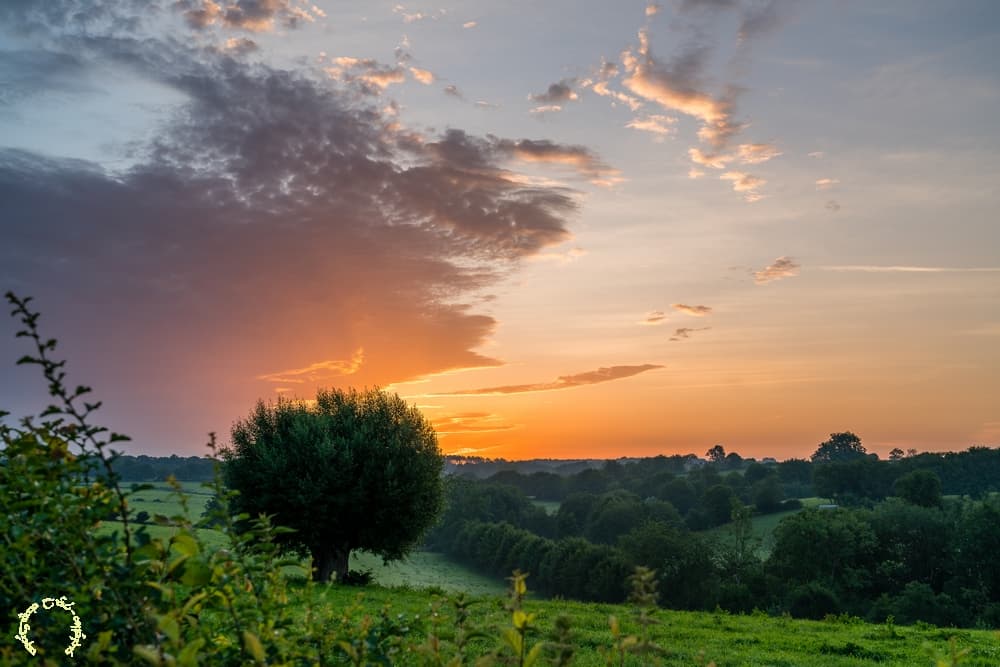 Couleurs dans le bocage