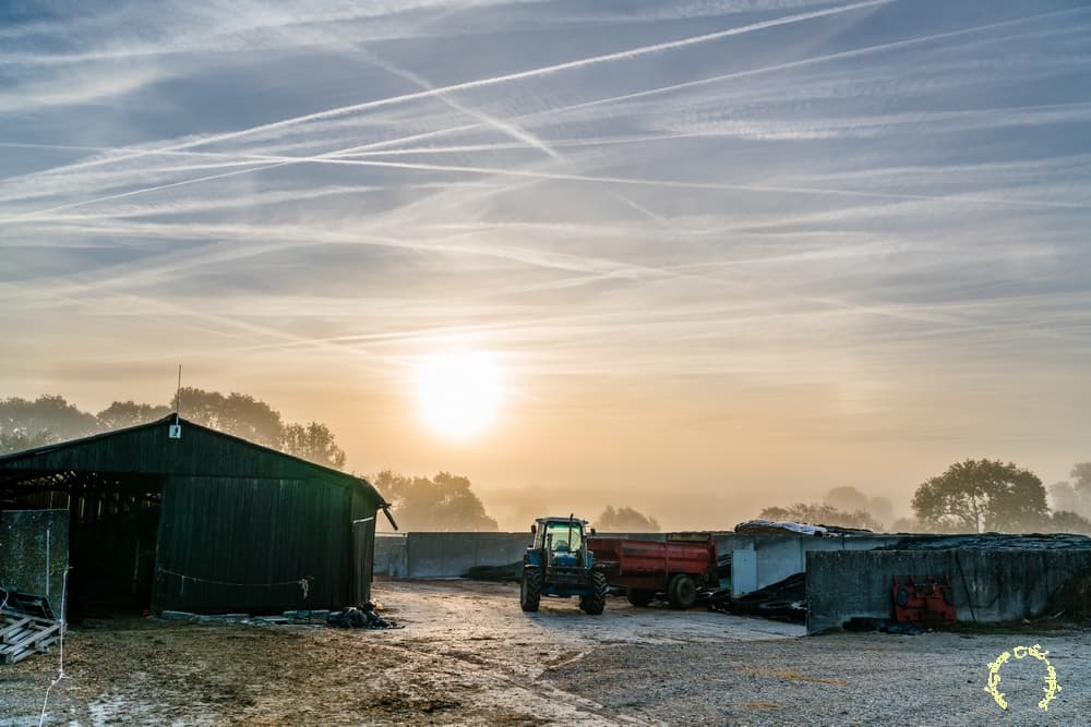 Travailleuse ruralité
