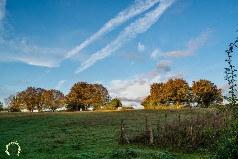Couleur automne