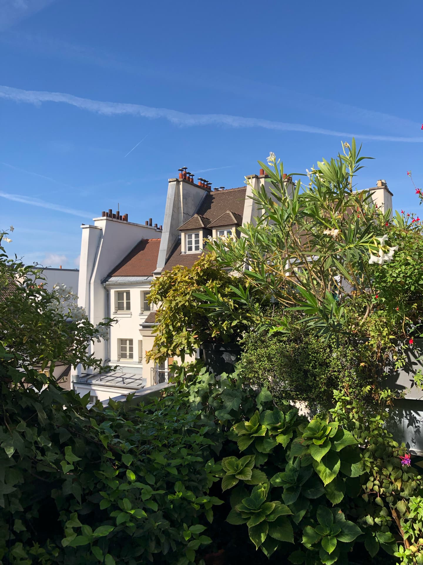 beau-dimanche