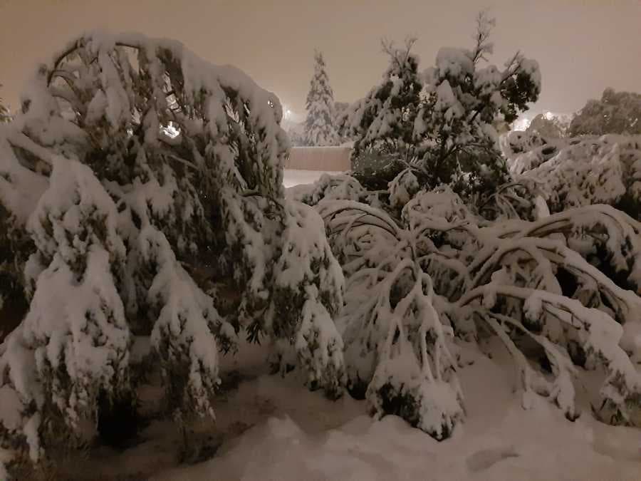 Image d'illustration pour Douceur - Un hiver doux persistant sur la France ?