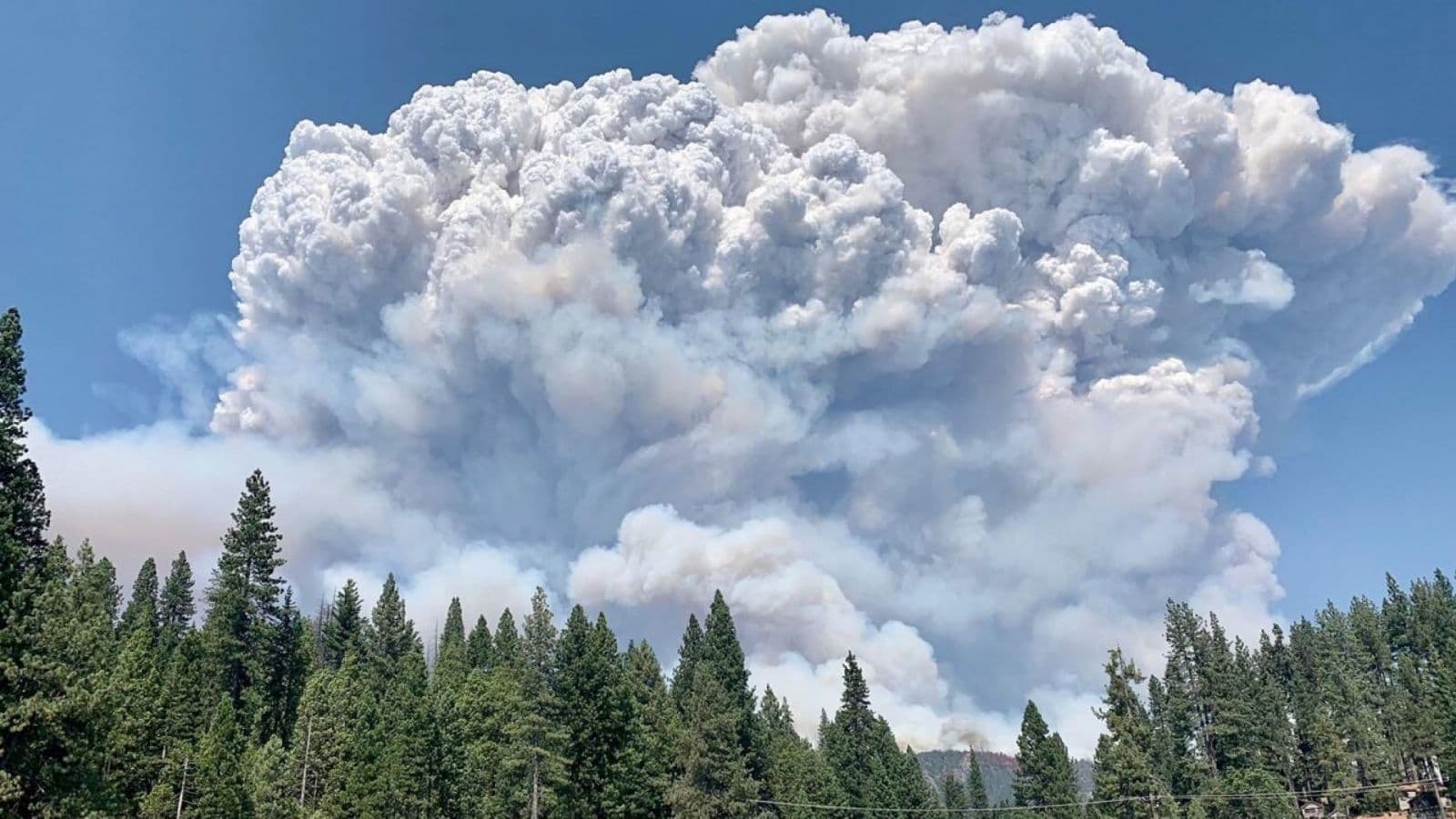 Image d'illustration pour Incendies en Californie : Une situation exceptionnelle