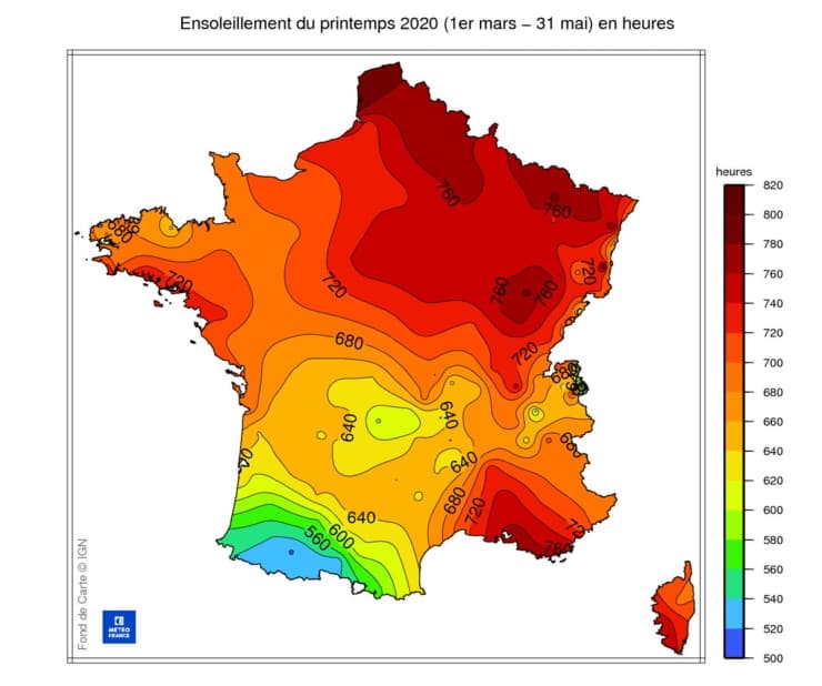 Image d'illustration pour La météo de 2020 responsable de l'invasion de guêpes en France