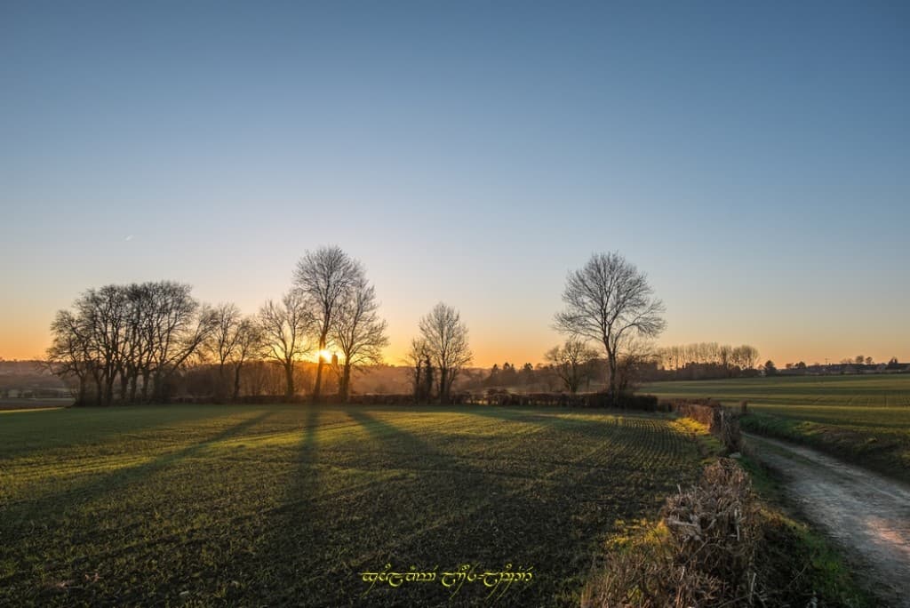 Amour de bocage