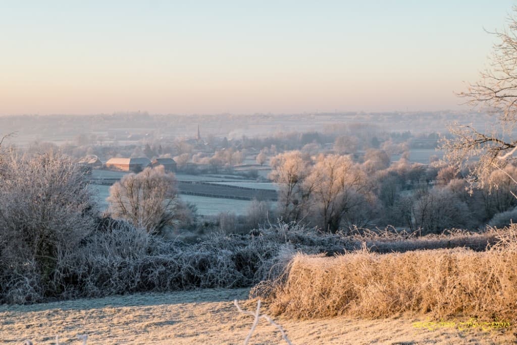 Blancheur du bocage