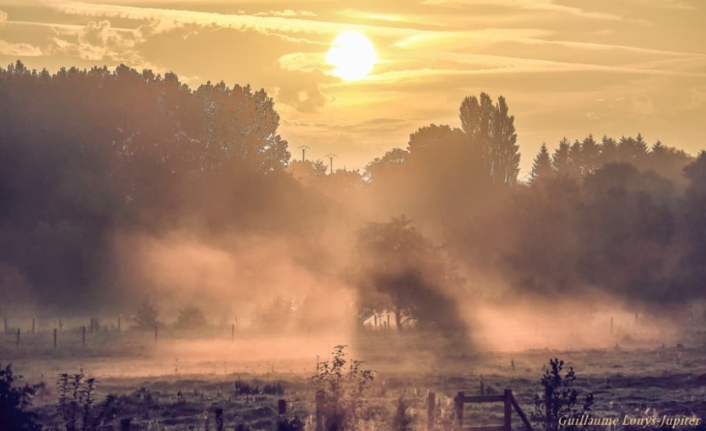 Colors in the mist...