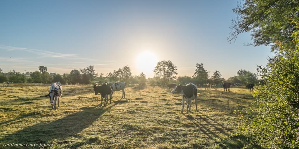 Dans la vallée