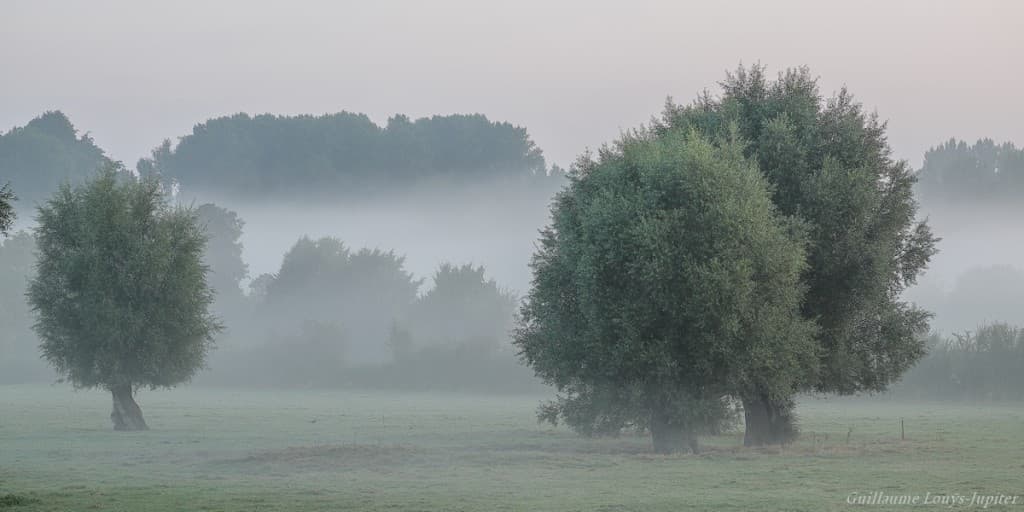 Dans la vallée