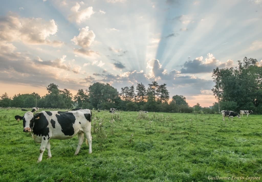Des rayons dans la vallée