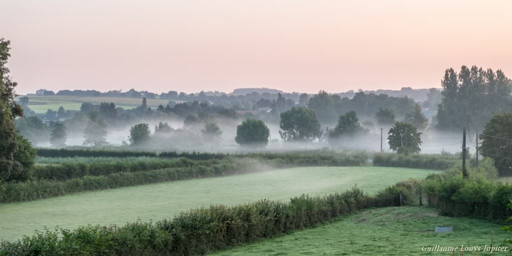 Encore plus de brume