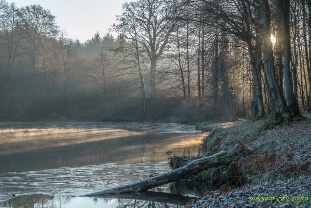 Fraîche ambiance -III
