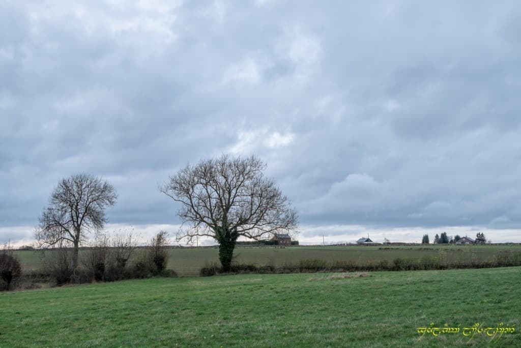 Grisaille terminale
