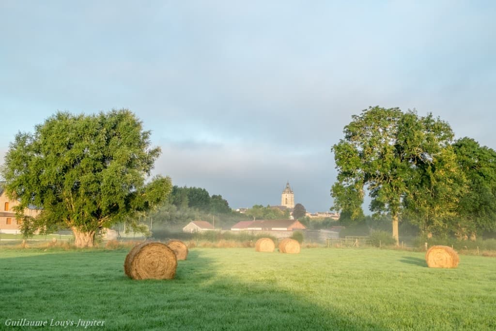 Installation de l'horreur