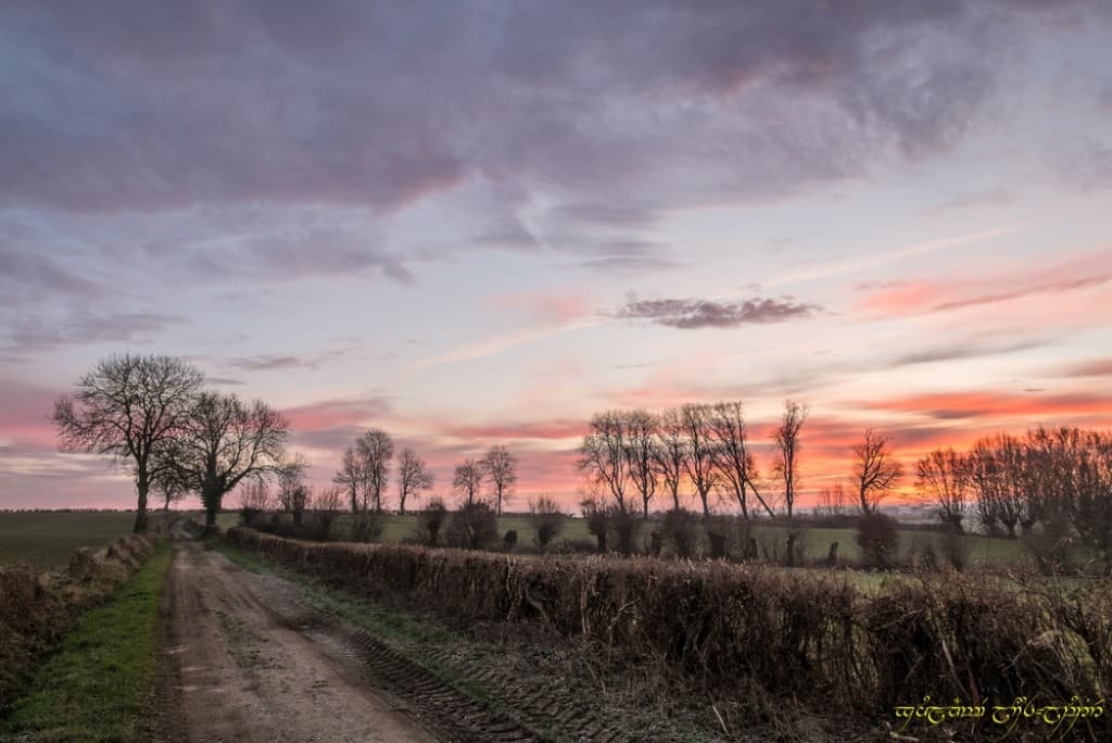 Les nuances du bocage