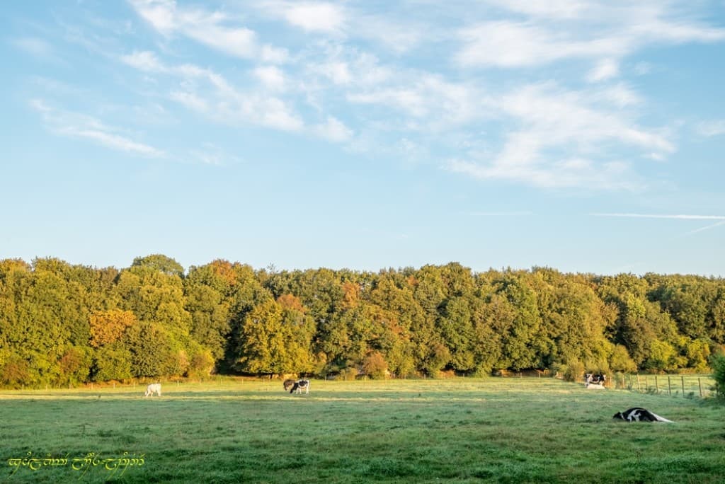 Nuances d'automne