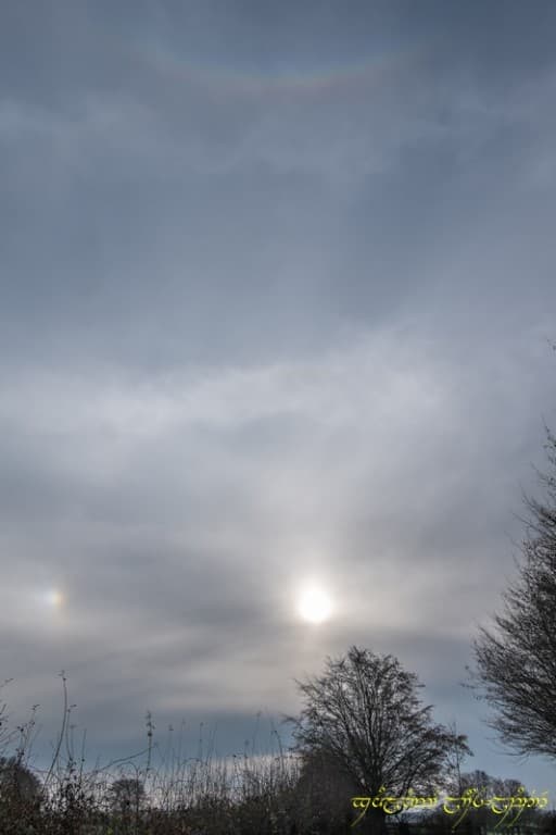 Oh, des phénomènes !