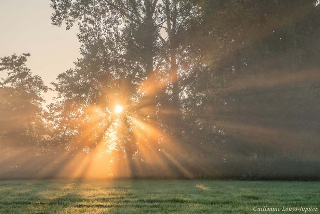 Rayons bocagers