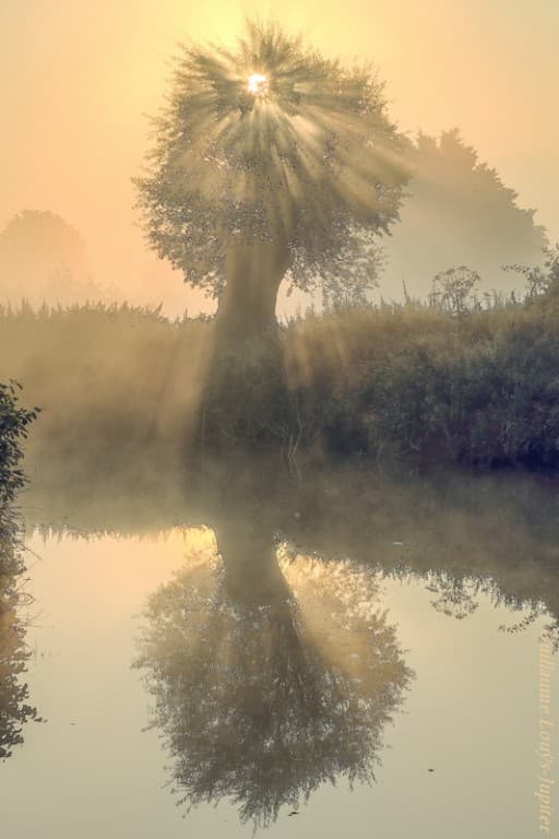 Reflet rayonnant