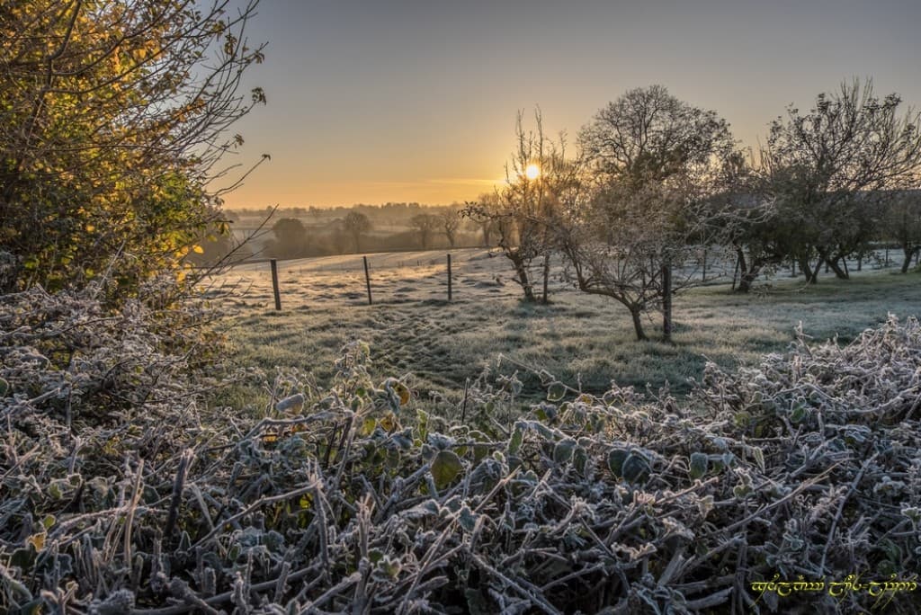 Blanchiment généralisé ter
