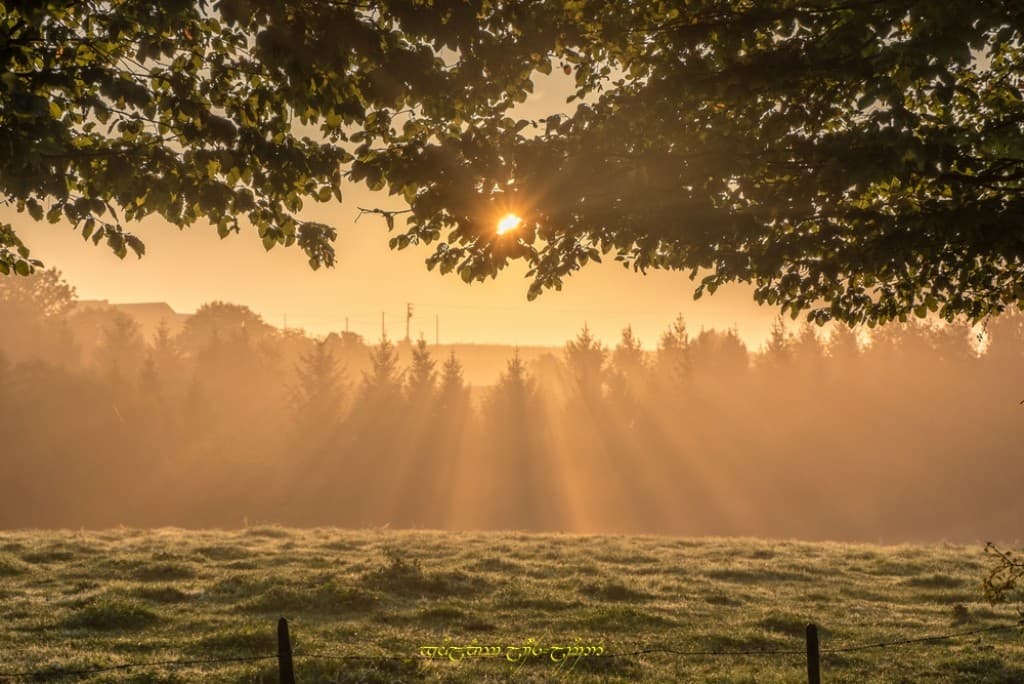 Brumeux bocage ter