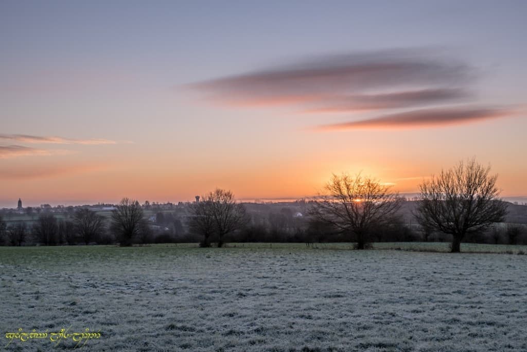 Couleurs dans le bocage