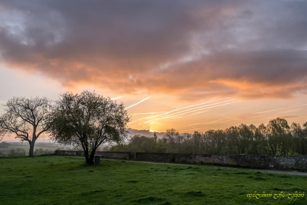 Couleurs matinales