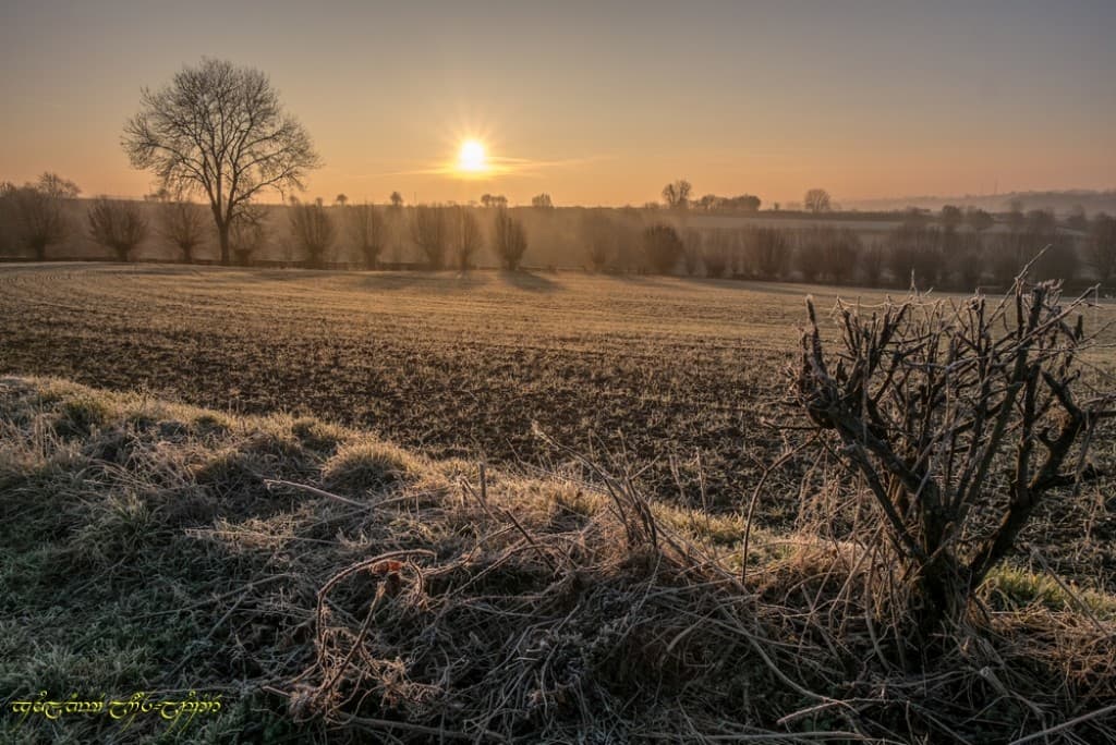 Du blanc et du bocage