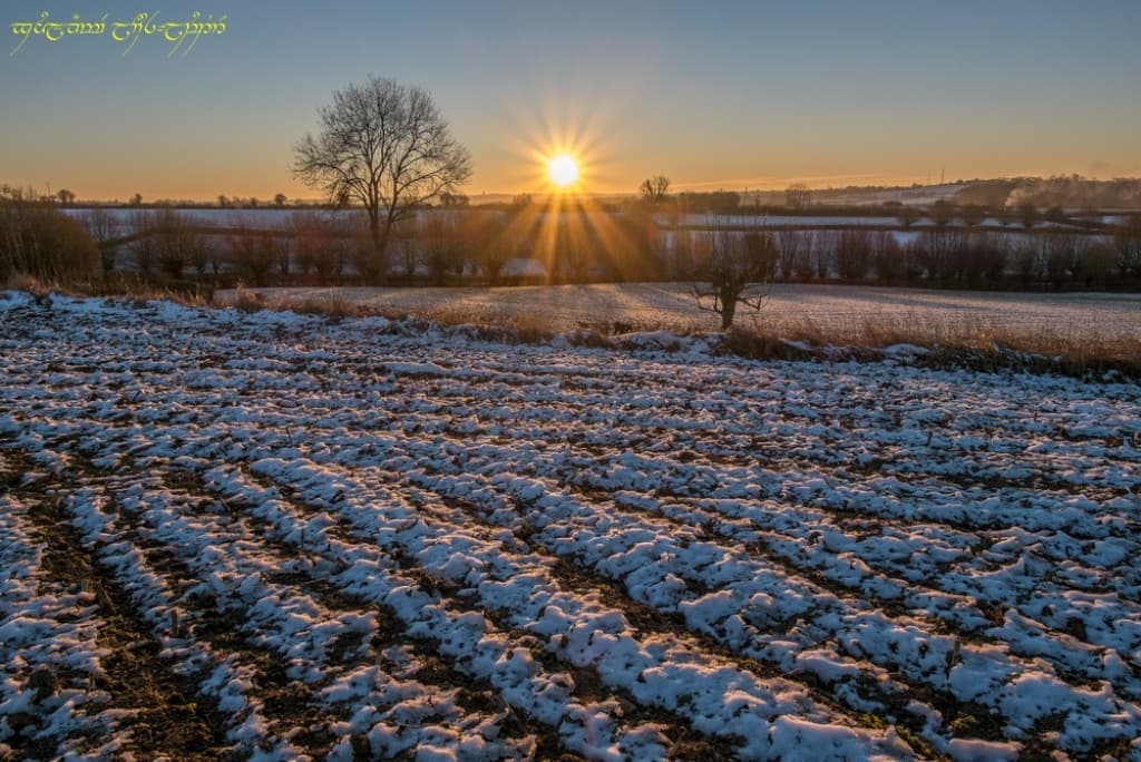 Face au(x) feu(x) du soleil