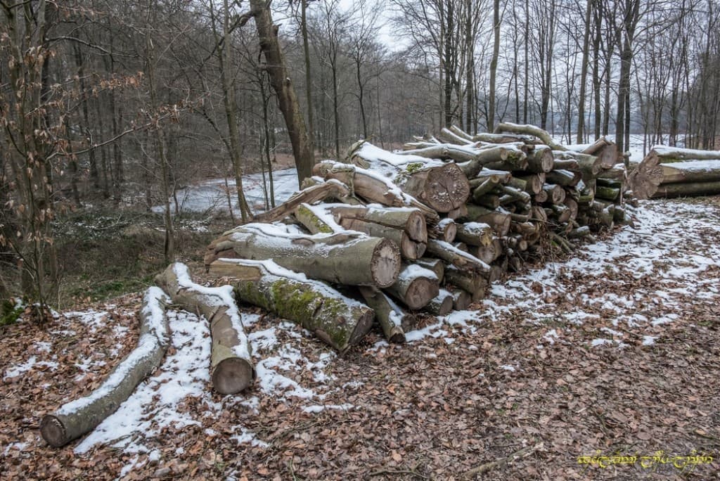 Grumes et résidus neigeux