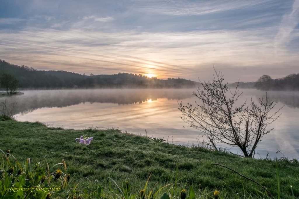 Lacustre lever brumeux
