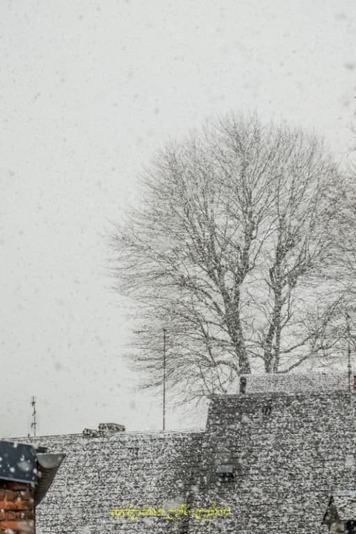 Neige à gros flocons