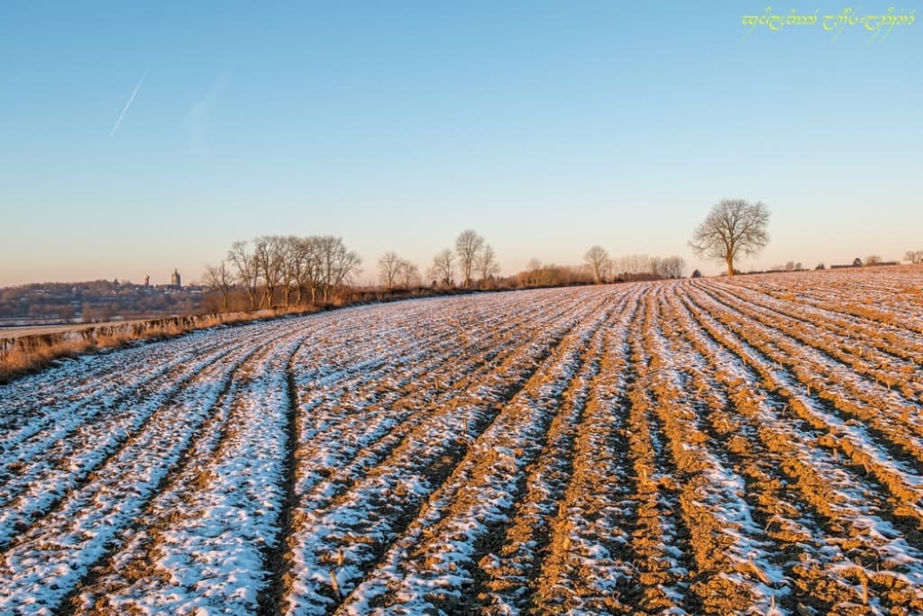 Neigeux graphisme bocager