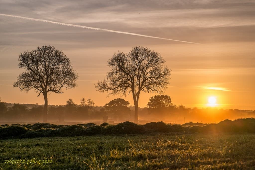 Plus près de la brume