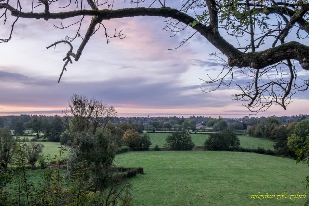 Quelques couleurs bis