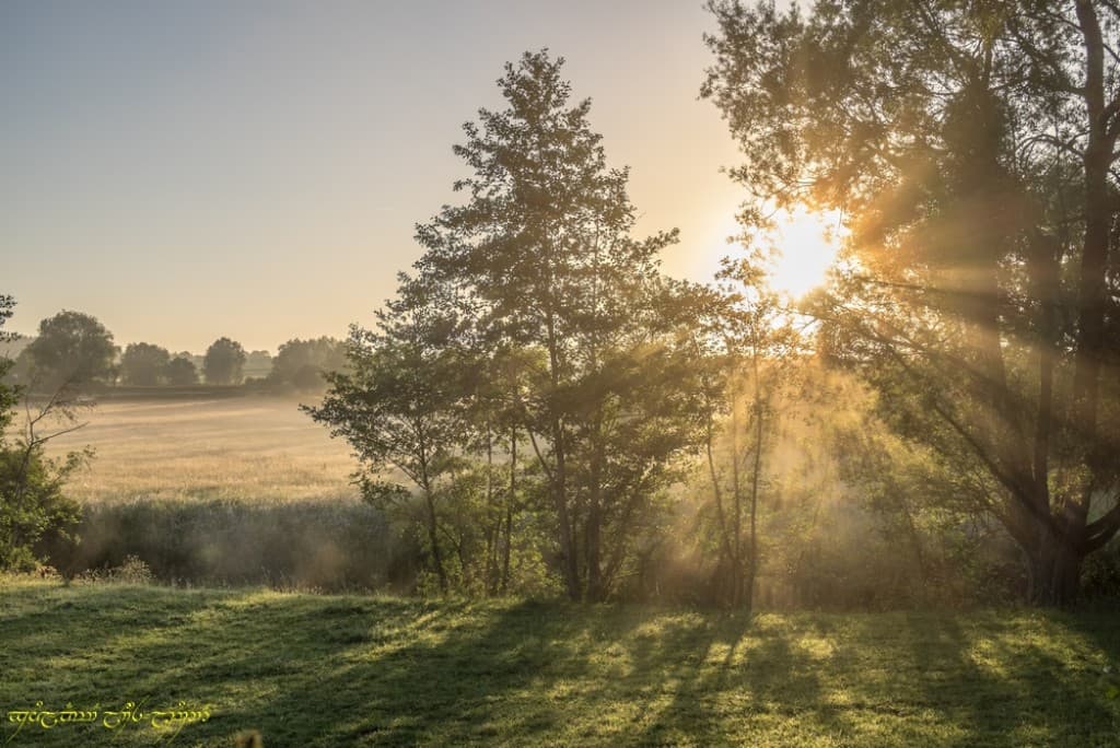 Rayons dans la vallée