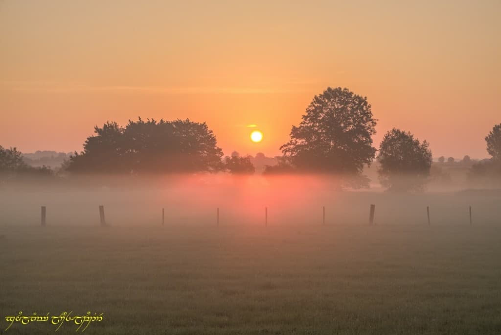 Vive coloration de la brume