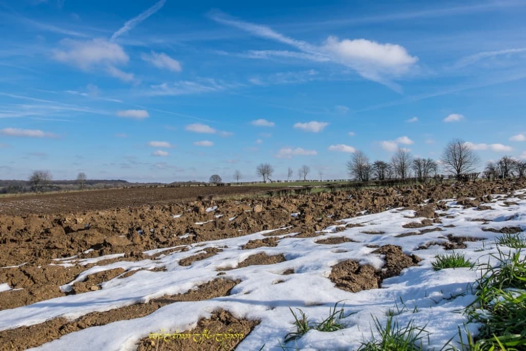 Dernier clin d’œil neigeux