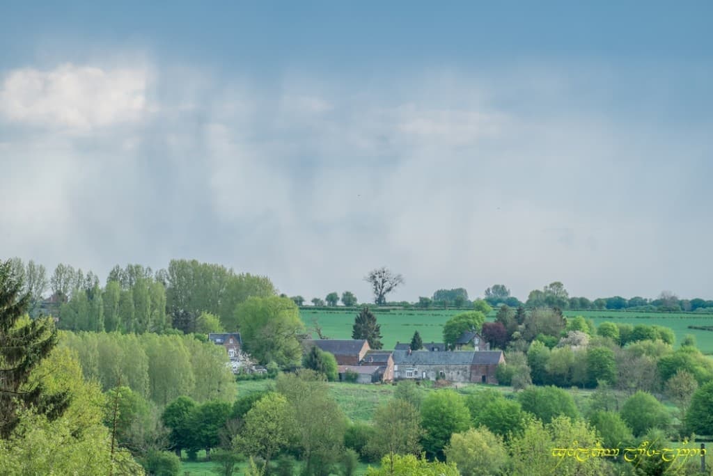 Détail pluvieux